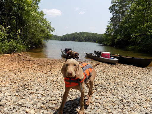 Pet Supply Store «Petco Animal Supplies», reviews and photos, 2345 Market Pl Blvd, Cumming, GA 30041, USA