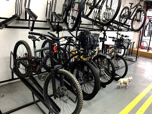 Bicycle Store «BikeLane Bicycle Store», reviews and photos, 85-13 Jamaica Ave, Woodhaven, NY 11421, USA