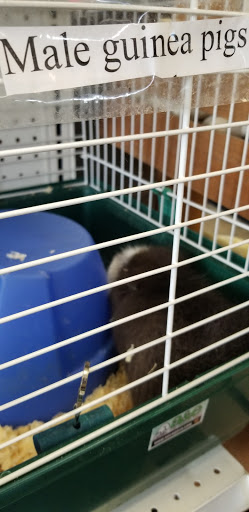 Pet Supply Store «House of Pets Inc», reviews and photos, 29500 Ford Rd, Garden City, MI 48135, USA