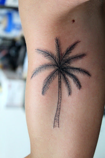 Explore cute dinosaur tattoo ideas, creative tattoo ideas in Fort Myers, available at Tiger Lotus Tattoo and Piercing