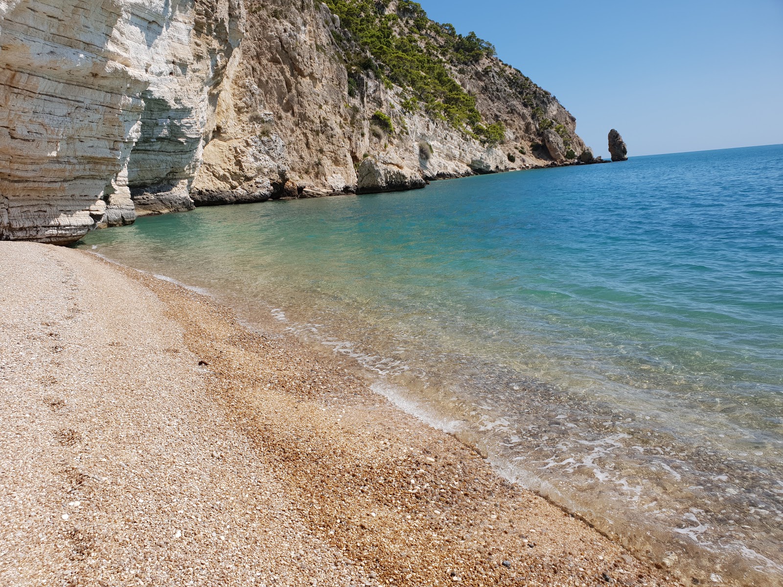 Cala del Pescecane'in fotoğrafı hafif ince çakıl taş yüzey ile