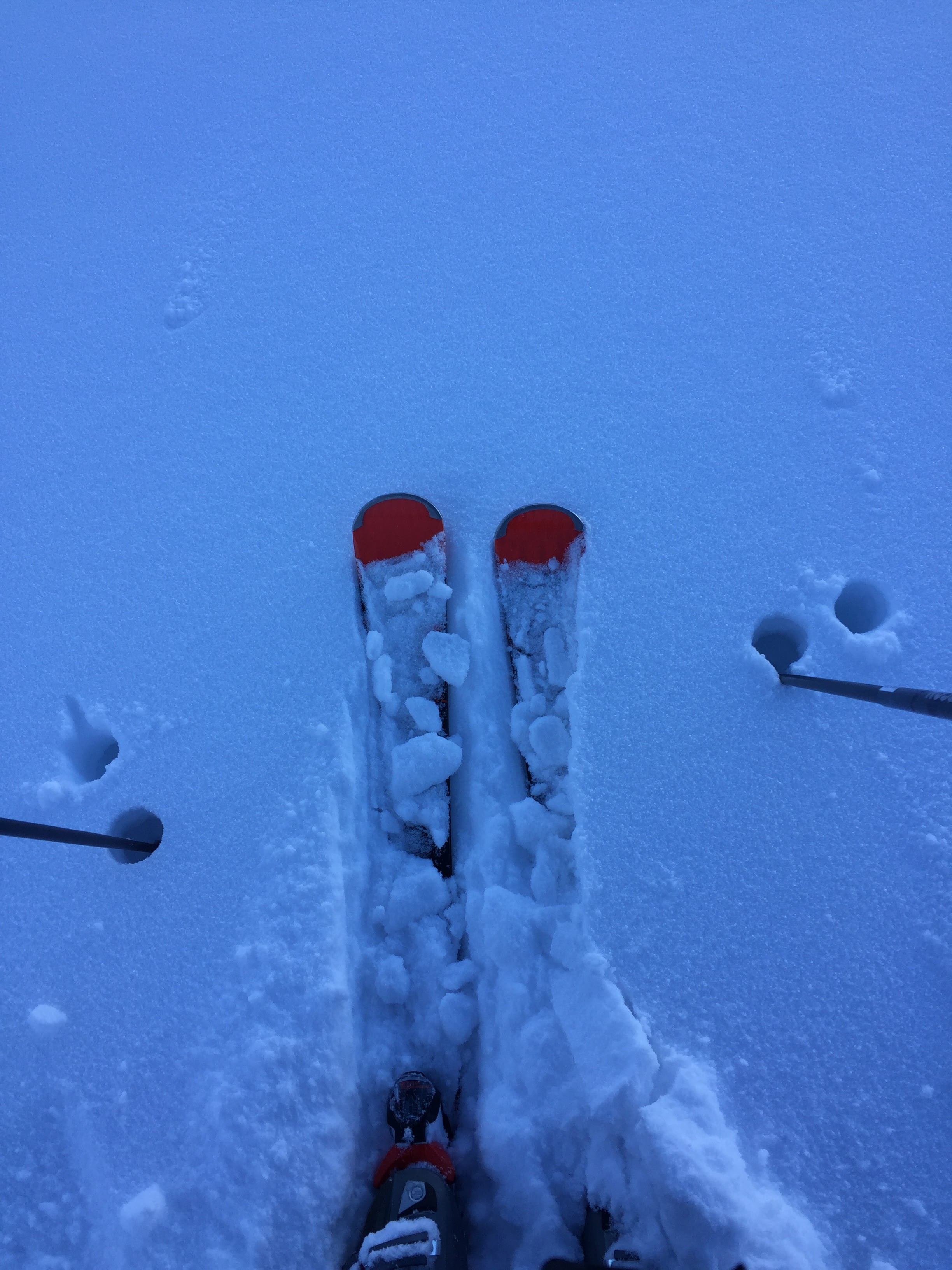 Photo n° 5 de l'avis de Frédéric.A fait le 16/02/2020 à 09:53