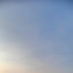 Photo n°3 de l'avis de Davide.c fait le 25/06/2023 à 17:49 sur le  Ristorante Terre di Grancia | Degustazione - Vendita diretta vino e olio à Grosseto