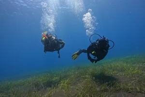 Squatina Sub Diving Center, Centro de Buceo image