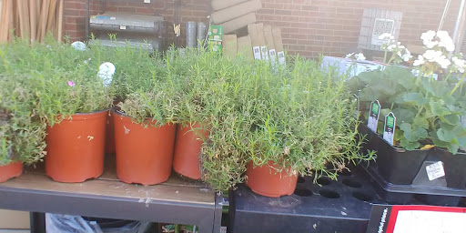 Hardware Store «Yardville Supply Co», reviews and photos, 47 Yardville Allentown Rd, Hamilton Township, NJ 08620, USA