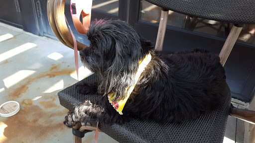 Coffee Shop «Starbucks», reviews and photos, 13480 Briar St, Leawood, KS 66209, USA