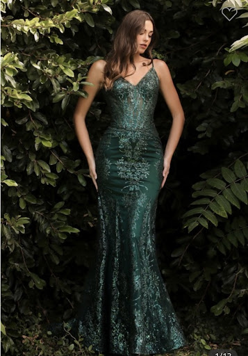 Bridal Shop «Allettante Bellezza Bridal and Designer Gowns», reviews and photos, 2325 SE Federal Hwy, Stuart, FL 34994, USA