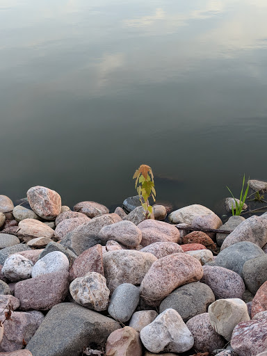 Park «Prairie Park», reviews and photos, 431 Knollwood Dr, Barrington, IL 60010, USA