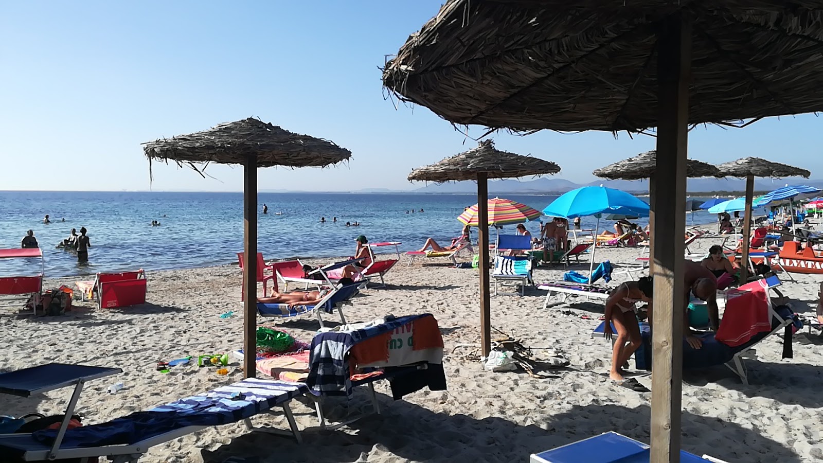Fotografija Divji veter Plaža Sardinija dobro mesto, prijazno za hišne ljubljenčke za počitnice