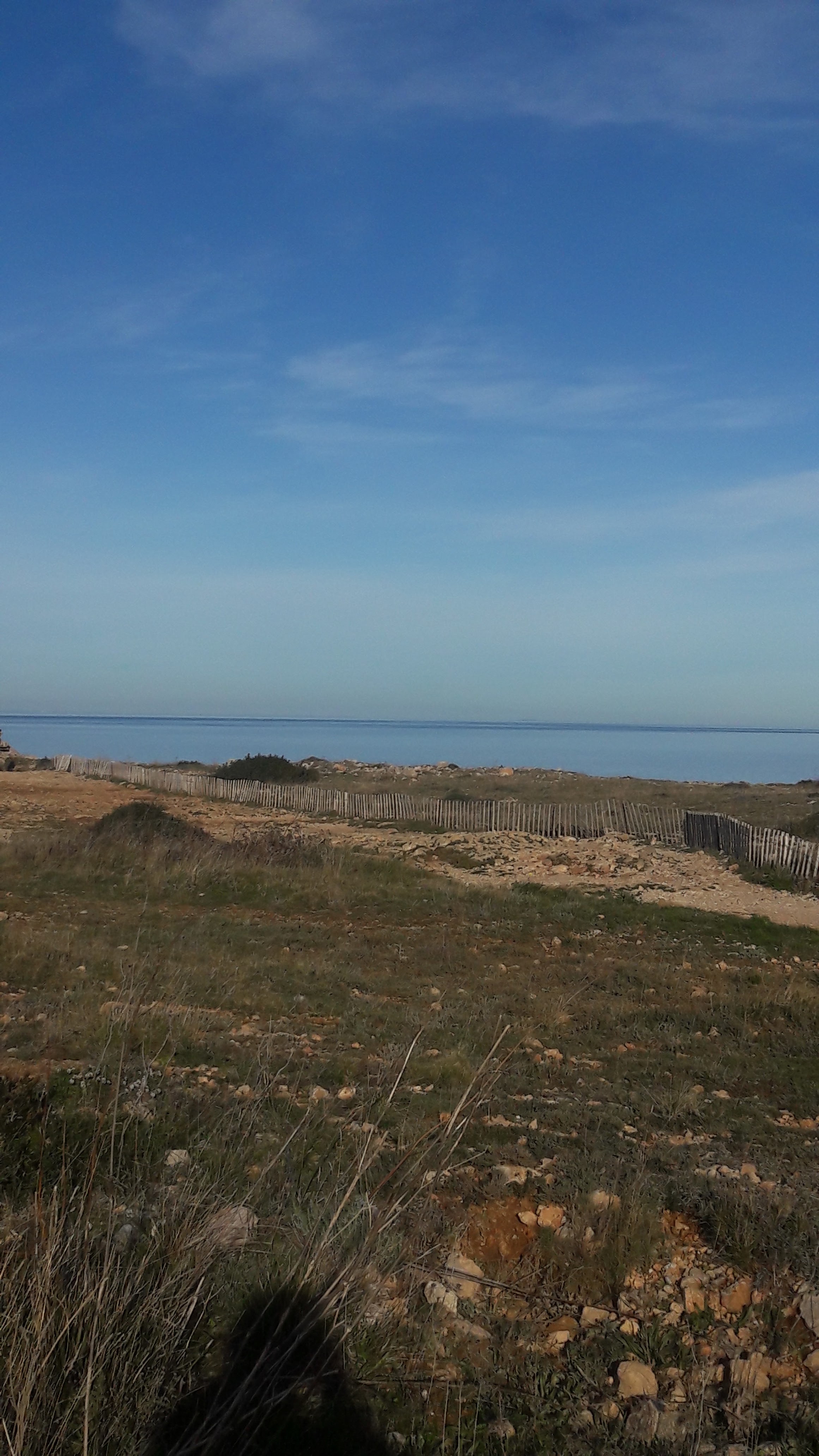Photo n° 2 de l'avis de Christiane.i fait le 01/04/2019 à 05:50