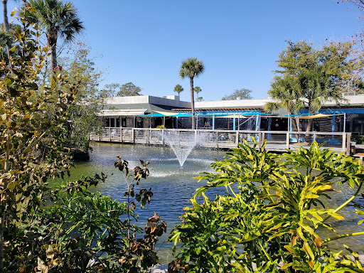 Shopping Mall «Coligny Plaza Shopping Center», reviews and photos, 1 N Forest Beach Dr, Hilton Head Island, SC 29928, USA