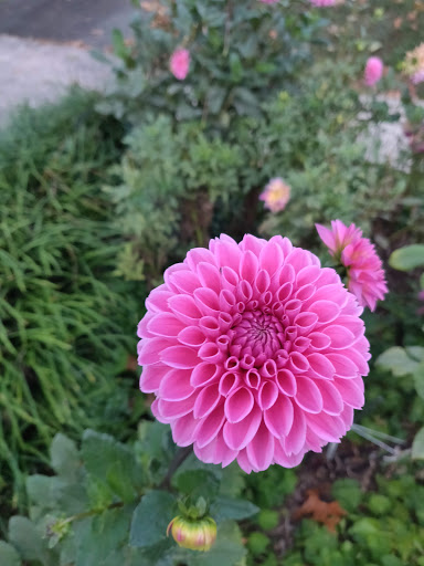 Market «Westville Quality Market», reviews and photos, 243 Alden Ave, New Haven, CT 06515, USA