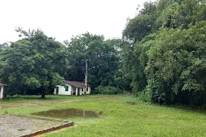 Biological Reserve Saltinho image