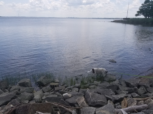 Used Book Store «Oak Knoll Books», reviews and photos, 310 Delaware St, New Castle, DE 19720, USA