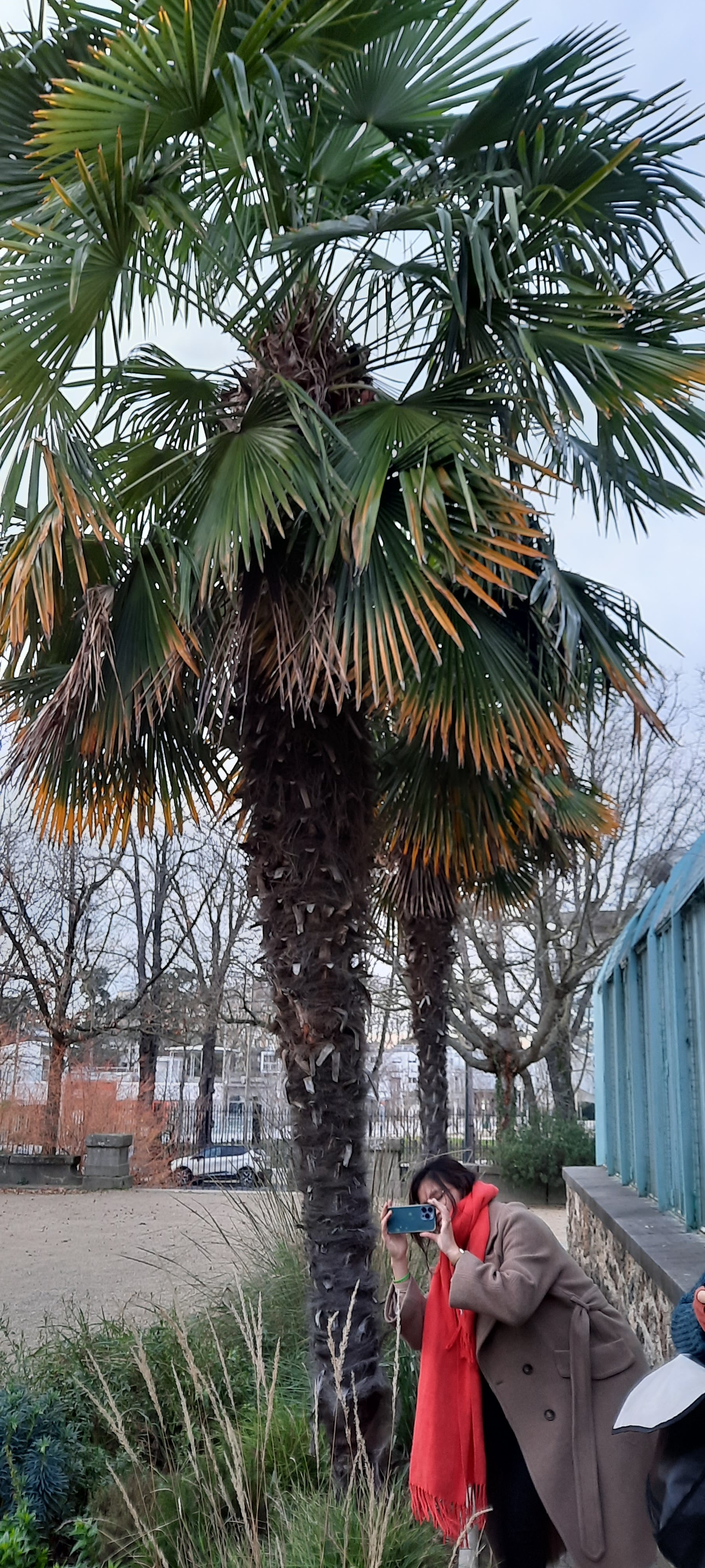 Photo n° 3 de l'avis de Isabelle.u fait le 28/12/2023 à 17:59