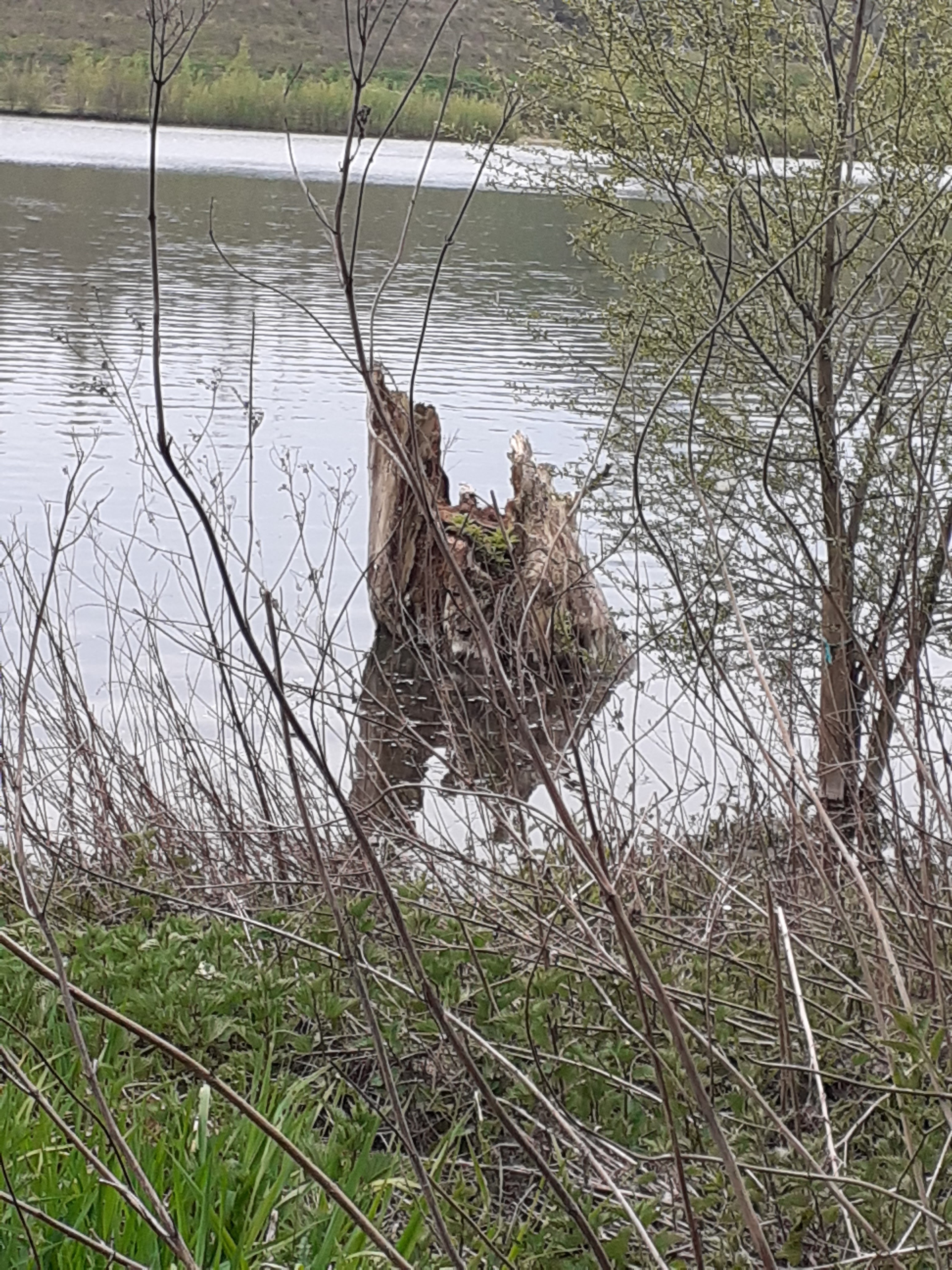 Photo n° 25 de l'avis de Laurence.e fait le 30/04/2021 à 14:23