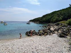 Kruscica beach'in fotoğrafı vahşi alan