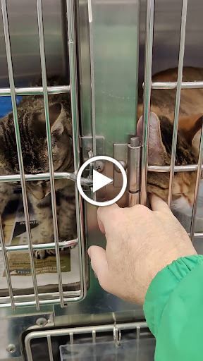 Pet Supply Store «PetSmart», reviews and photos, 73 RHL Blvd, South Charleston, WV 25309, USA