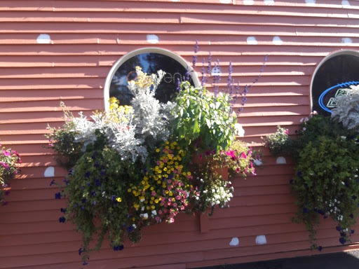 Grocery Store «Albertsons», reviews and photos, 11012 Canyon Rd E, Puyallup, WA 98373, USA