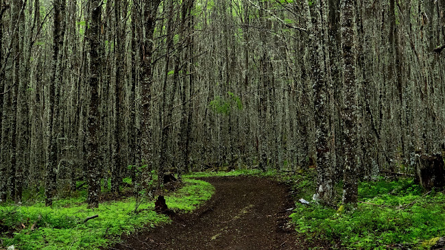 Opiniones de Eunk Patagonia en Coyhaique - Agencia de viajes