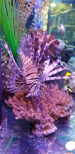 Pet Store «Fish & Pet Plus», reviews and photos, 19 Commerce St, Flemington, NJ 08822, USA