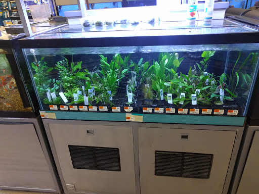 Pet Supply Store «Petco Animal Supplies», reviews and photos, 103 Commerce Way a, Woburn, MA 01801, USA