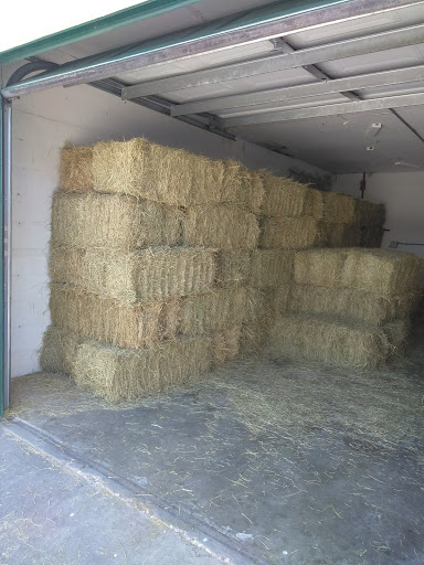 Pet Supply Store «Largo Feed & Garden Supply Inc», reviews and photos, 210 W Bay Dr, Largo, FL 33770, USA