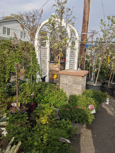 Market «Rising Up Garden Center, Landscape Design, & Florist», reviews and photos, 1314 St George Ave, Avenel, NJ 07001, USA