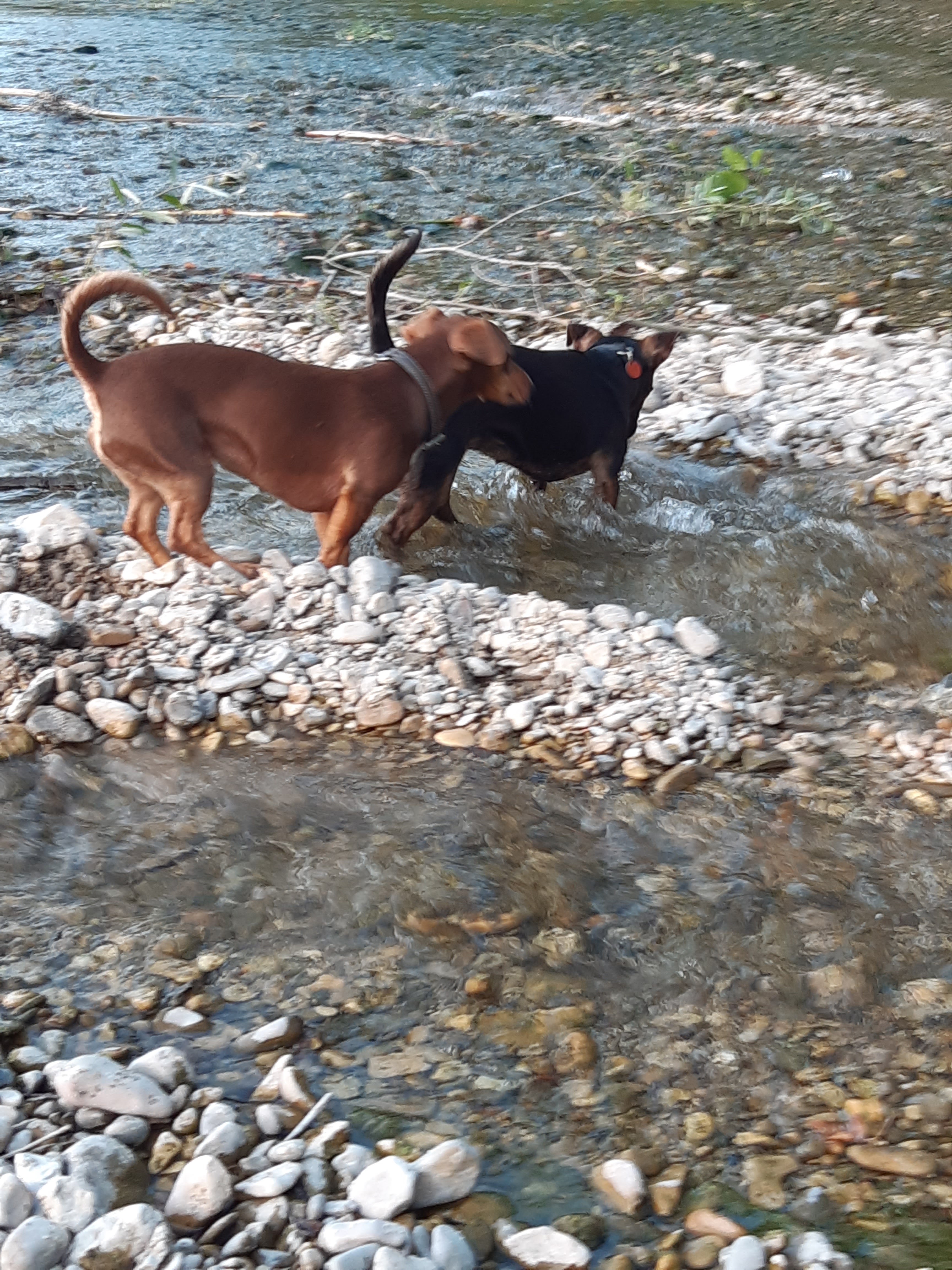 Photo n° 1 de l'avis de Anne.o fait le 09/07/2022 à 18:47