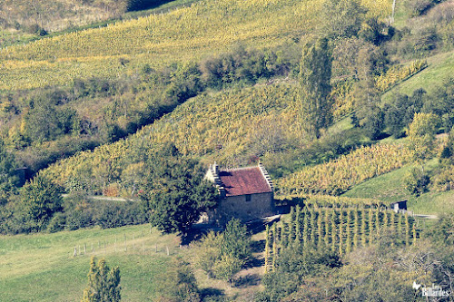 Vallée de Gizia à Gizia