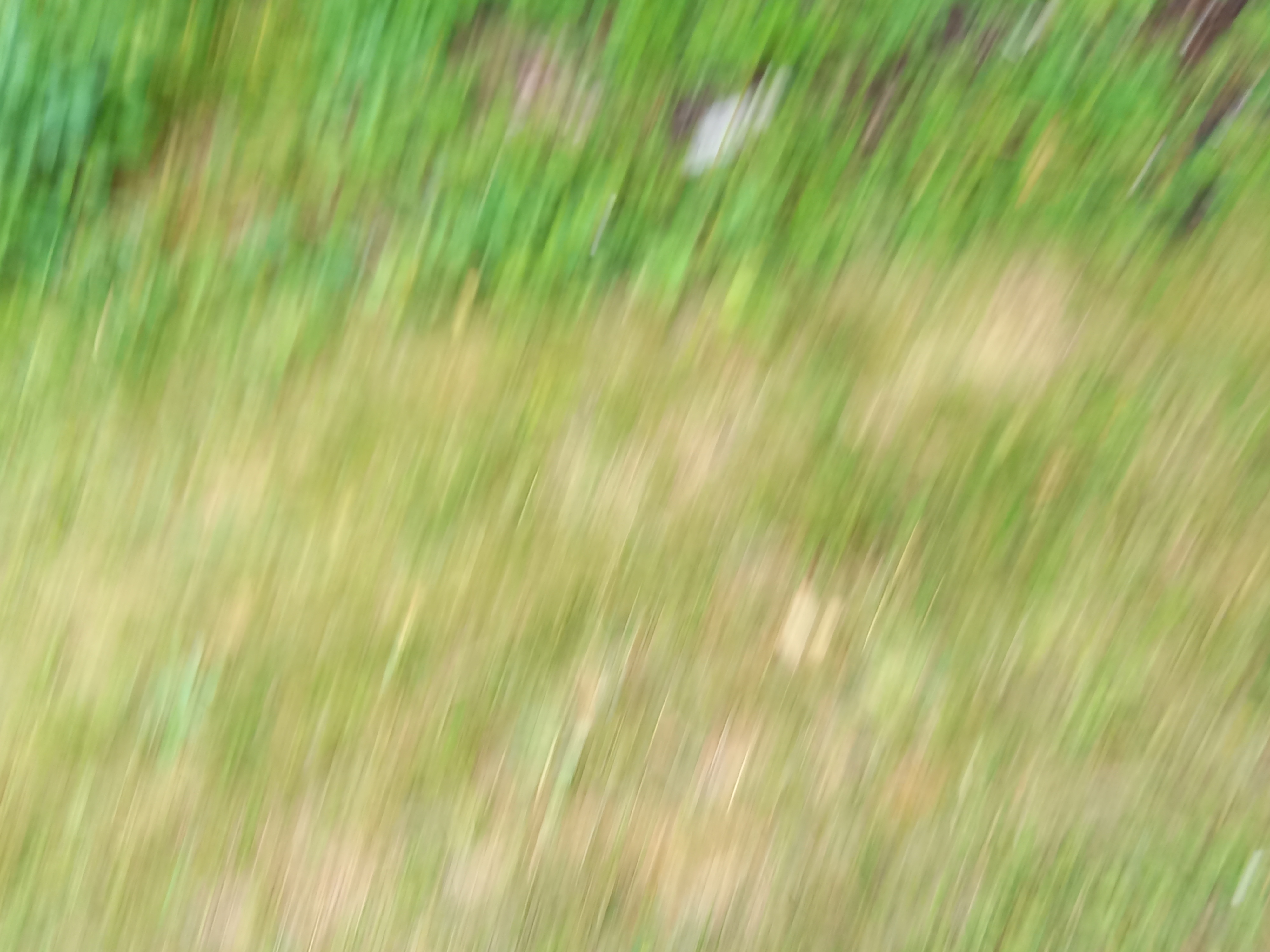 Photo n° 43 de l'avis de helene.a fait le 18/06/2023 à 13:16