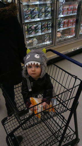 Grocery Store «Food Lion», reviews and photos, 5209 Plaza Dr, Hopewell, VA 23860, USA