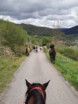 Crins Des Vosges à La Bresse
