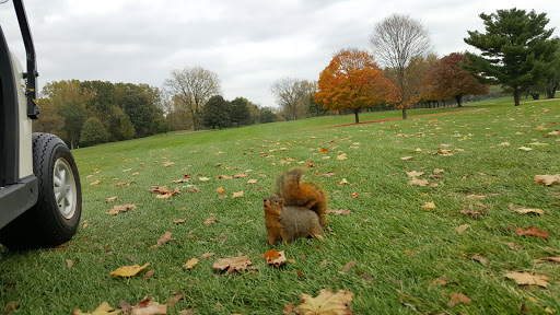 Public Golf Course «Green Oaks Golf Course», reviews and photos, 1775 E Clark Rd, Ypsilanti, MI 48198, USA