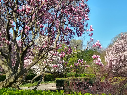 Garden «Conservatory Garden», reviews and photos, 402 5th Ave, New York, NY 10029, USA