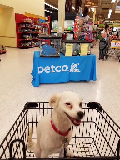 Pet Supply Store «Petco Animal Supplies», reviews and photos, 9480 W Northern Ave, Glendale, AZ 85305, USA