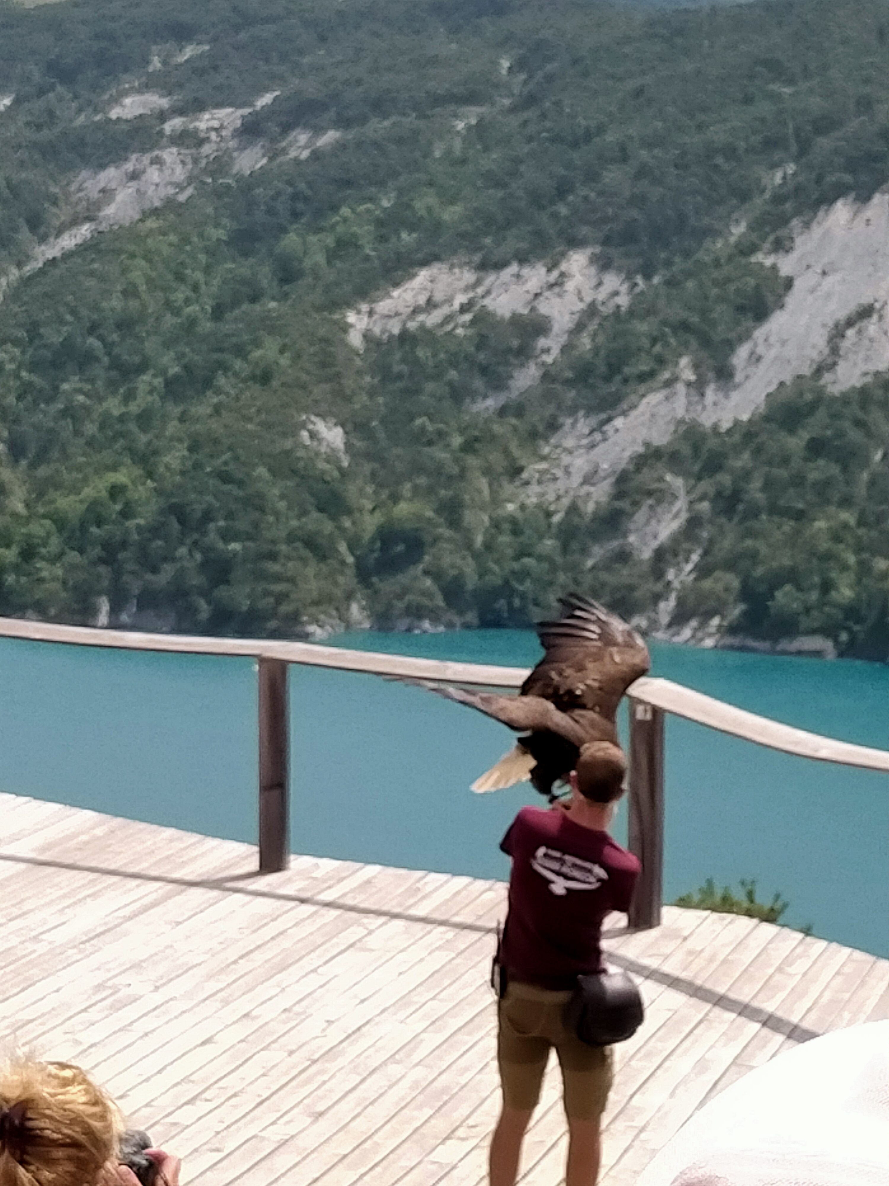 Photo n° 1 de l'avis de Dominique.R fait le 01/08/2021 à 11:27