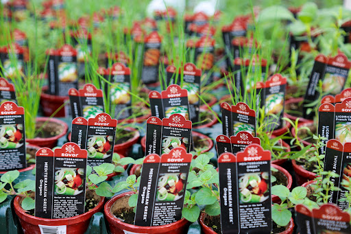 Plant Nursery «Blooming Acres», reviews and photos, 7561 State Rd, Wadsworth, OH 44281, USA