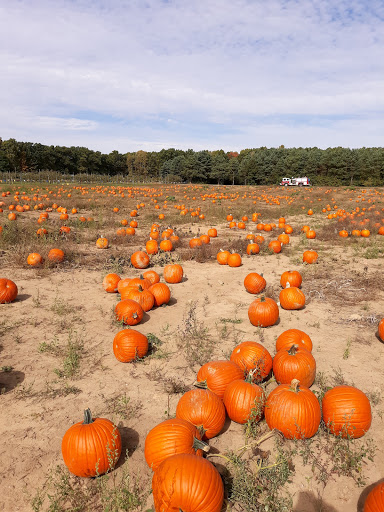 Park «Rolling Hills Park», reviews and photos, 7660 Stony Creek Rd, Ypsilanti, MI 48197, USA