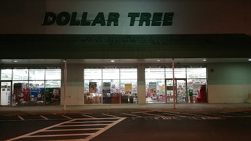 Dollar Store «Dollar Tree», reviews and photos, 8 Newbury St #1b, Danvers, MA 01923, USA
