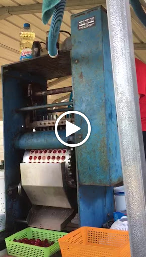 Produce Market «Brookwood Fruit Farm», reviews and photos, 7845 Bordman Rd, Almont, MI 48003, USA