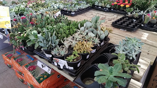 Home Improvement Store «The Home Depot», reviews and photos, 500 S Interstate 35 East Service Rd, Lancaster, TX 75146, USA