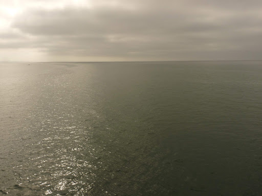 Coffee Shop «Santa Cruz Coffee Roasting Co.», reviews and photos, 1330 Pacific Ave, Santa Cruz, CA 95060, USA