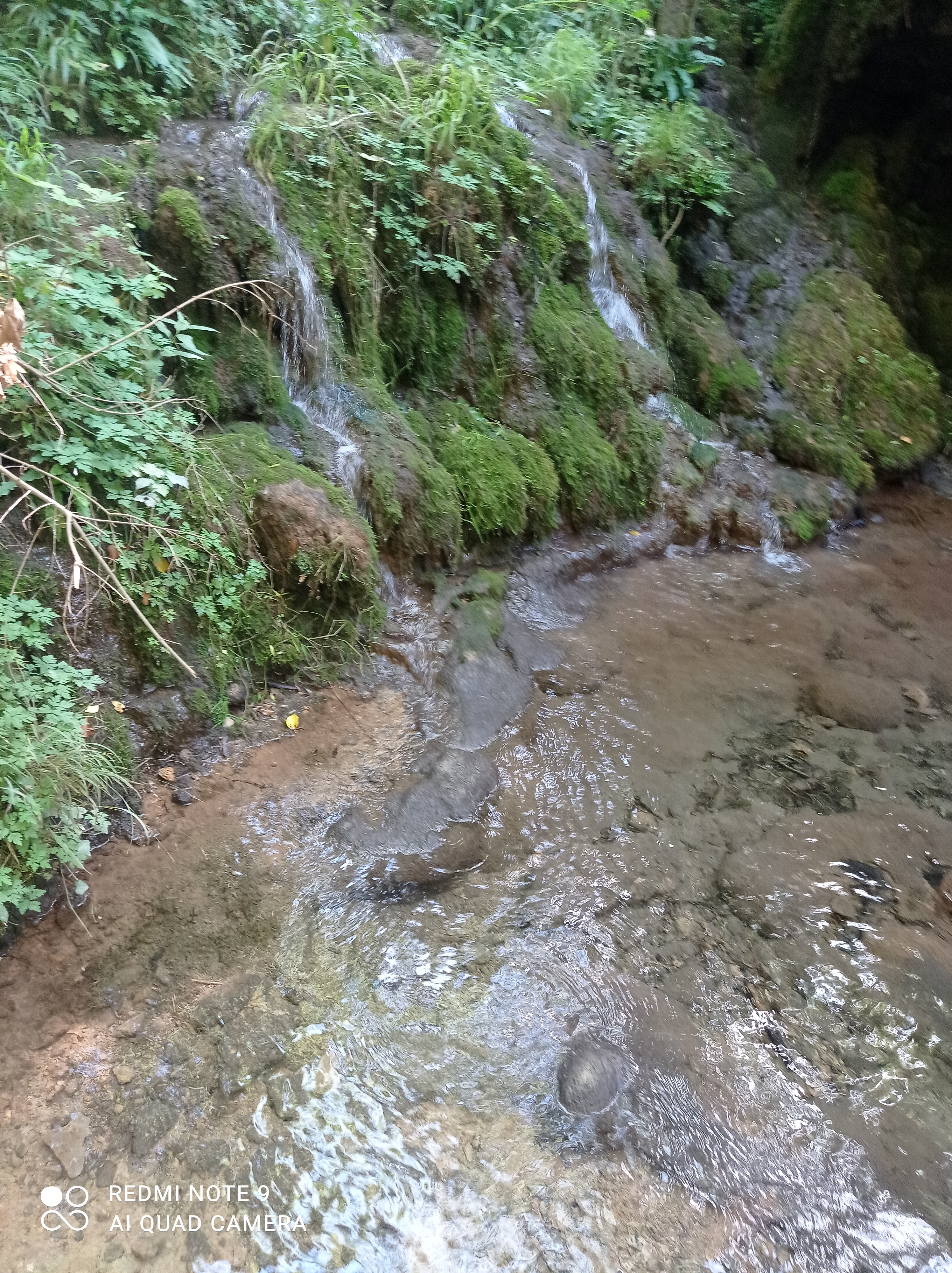 Photo n° 2 de l'avis de GLE. fait le 27/08/2022 à 16:14