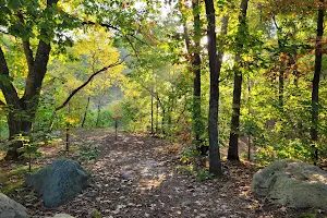 Scouting Woods Disc Golf Course image