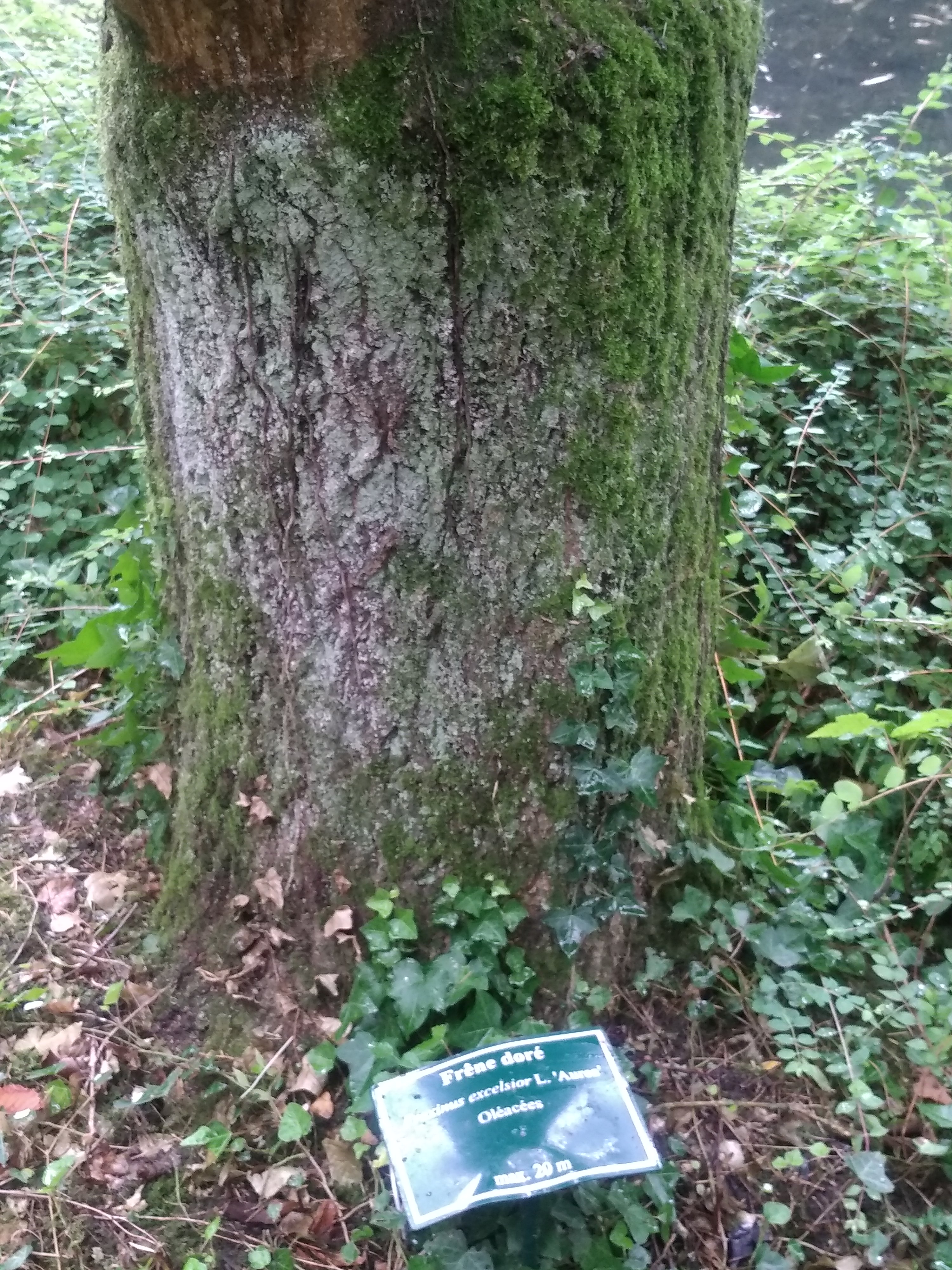 Photo n° 5 de l'avis de Céline.u fait le 28/07/2019 à 16:18