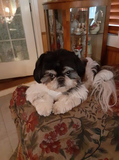 Furniture Store «Ashley HomeStore», reviews and photos, 4129 Montgomery Hwy, Dothan, AL 36303, USA