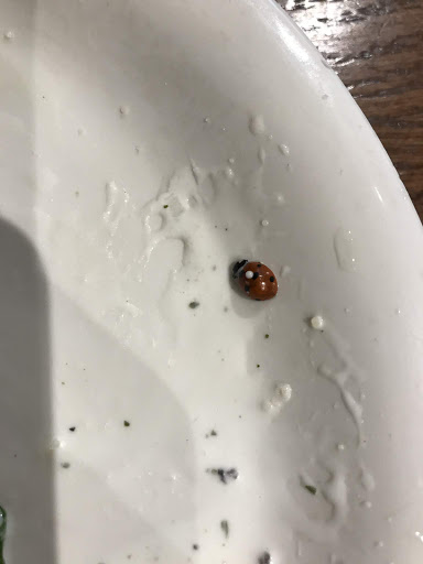 Restaurant «PizzaPapalis Taverna», reviews and photos, 553 Monroe Ave, Detroit, MI 48226, USA