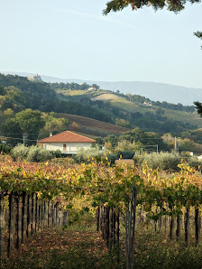 Tenuta i Fauri Via Foro, 18, 66010 Ari CH, Italia