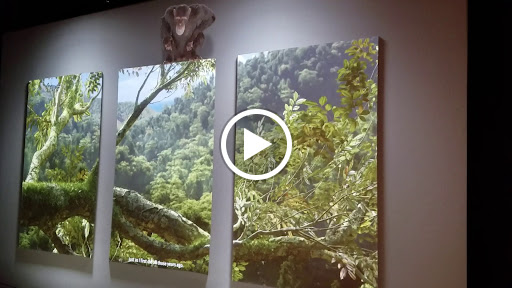 Museum «National Geographic Museum», reviews and photos, 1145 17th Street NW, Washington, DC 20036, USA